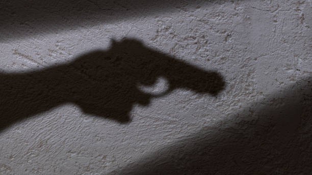 Eight children killed in Louisiana mass shooting, media reports say