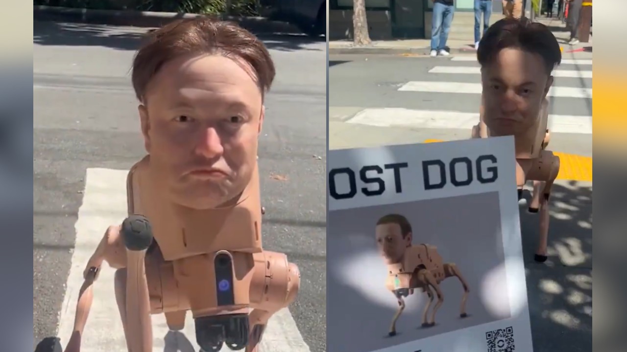 Watch | 'Deeply unsettling': Robot dog with Elon Musk head roams US streets