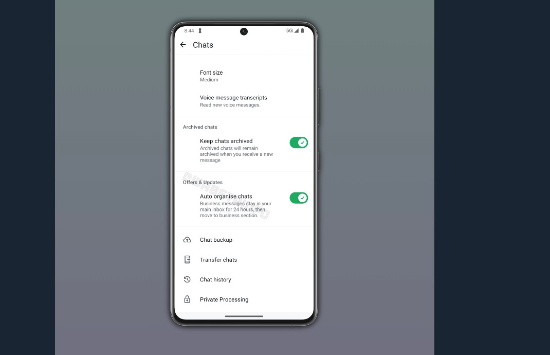 Business filter for WhatsApp.