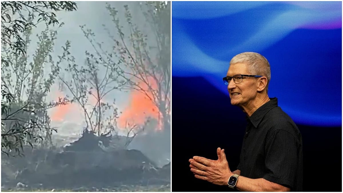 Kerala Fireworks Blast Kills 8, Apple CEO Tim Cook Resigns After 15 Years