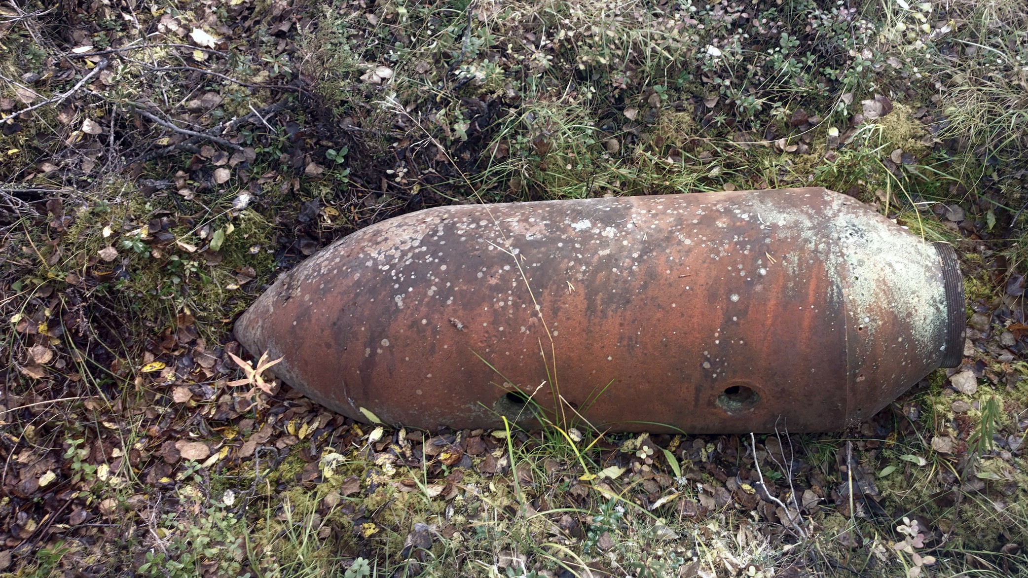 Army personnel defuse suspected WWII-era bomb in Jharkhand's East Singhbhum