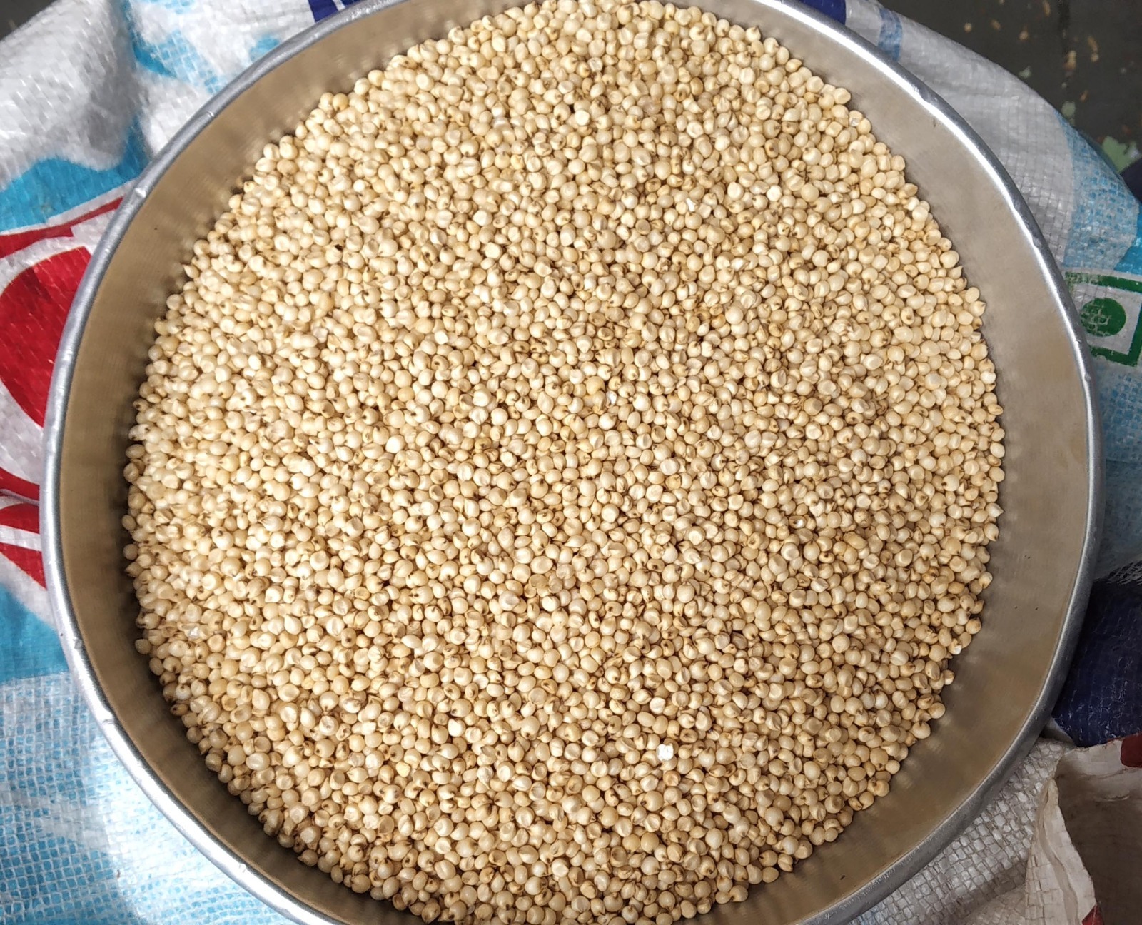 Maldandi white jowar.