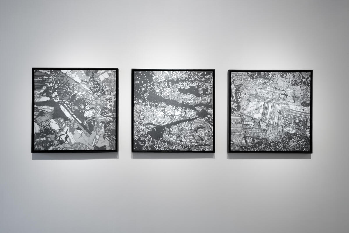 A few of Nayar's work that are on display.