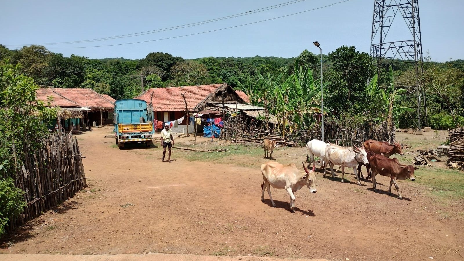 Relocation of over 450 families from Bhimgad Sanctuary in Belagavi remains on paper