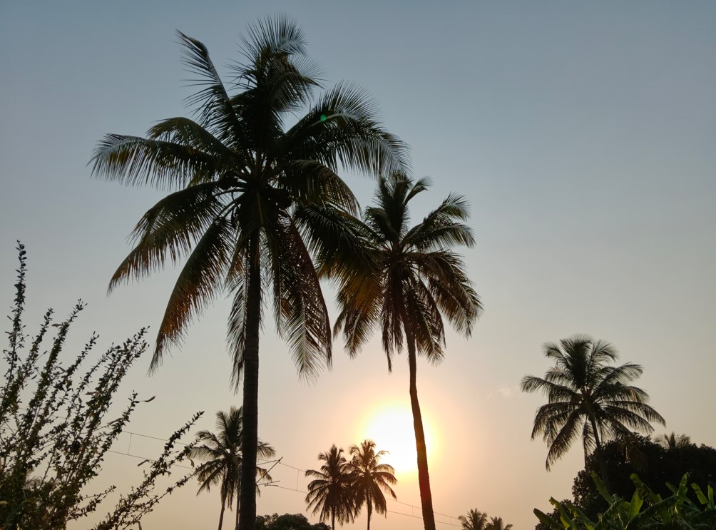 Oppo F33 Pro 5G's camera sample.