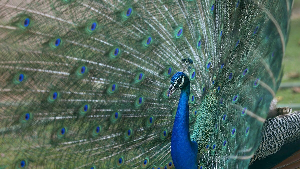 Best Photos from Around the World: April 28, 2026