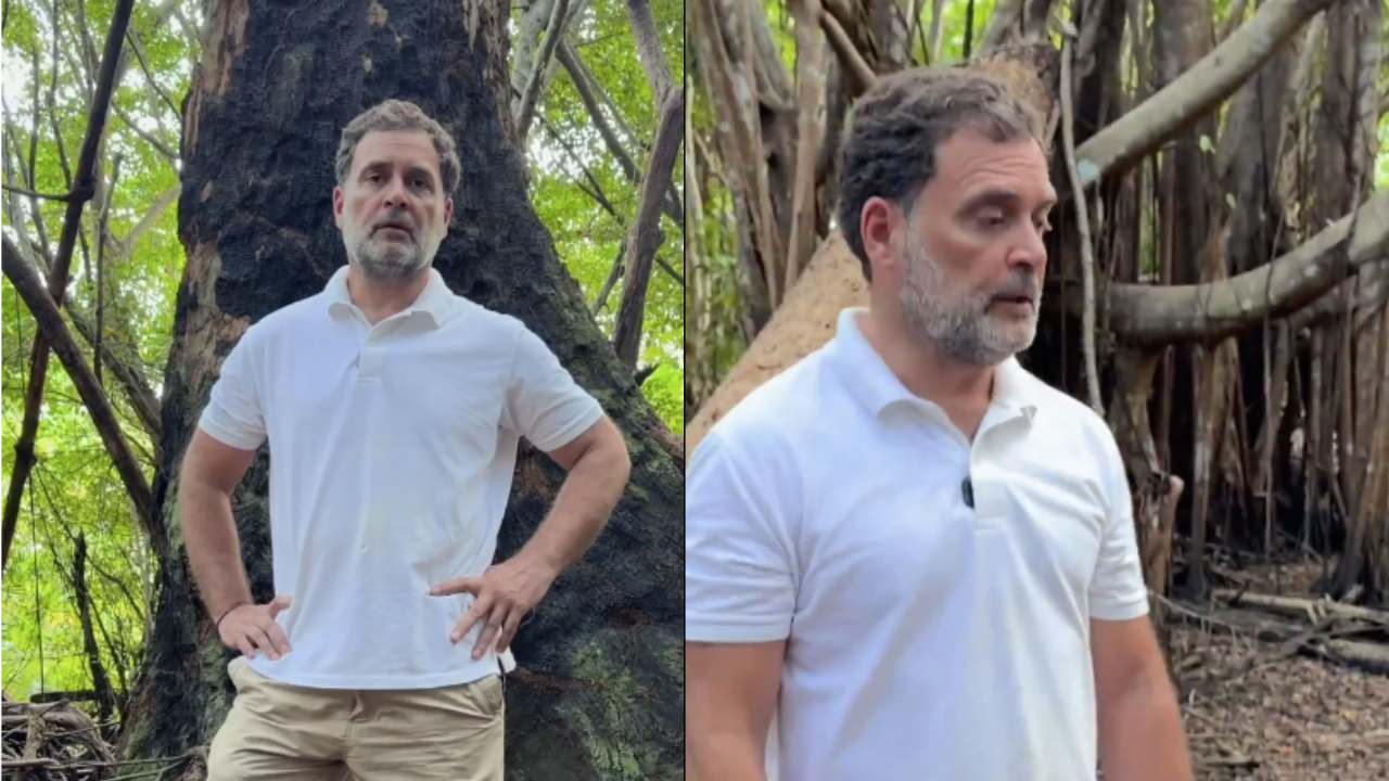 Rahul Gandhi calls Great Nicobar project ‘one of biggest scams’ against natural, tribal heritage