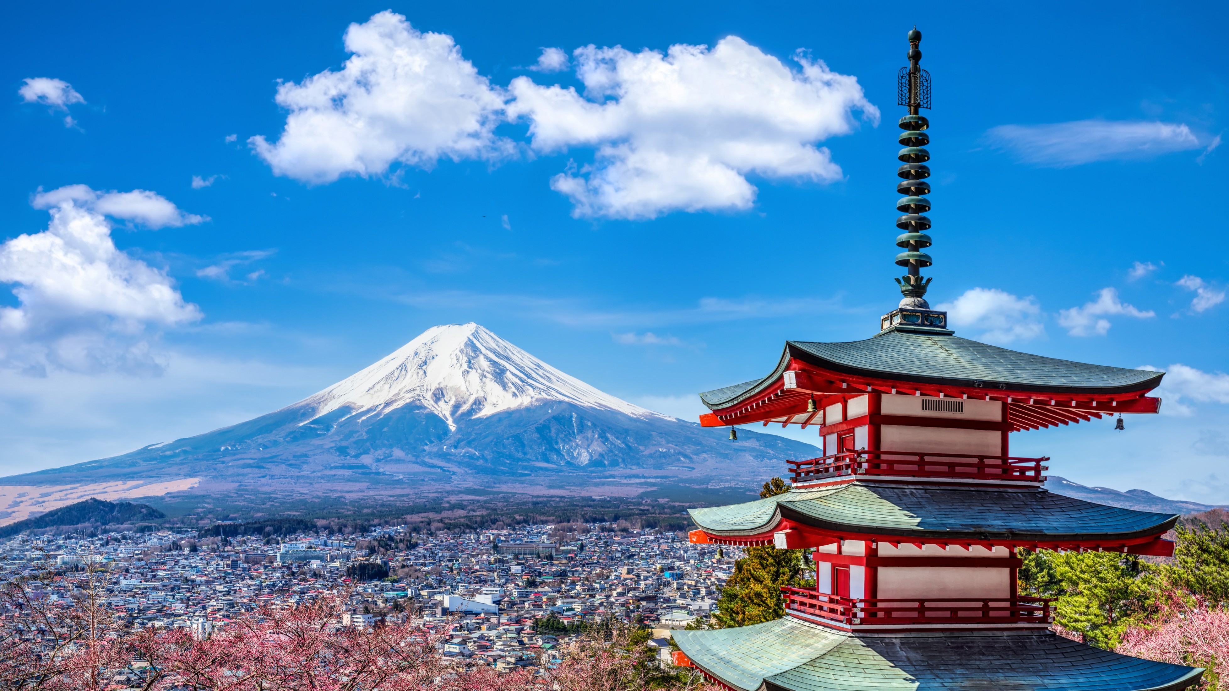 Want to study in Japan? MEXT scholarship applications open for 2027 UG, research programmes
