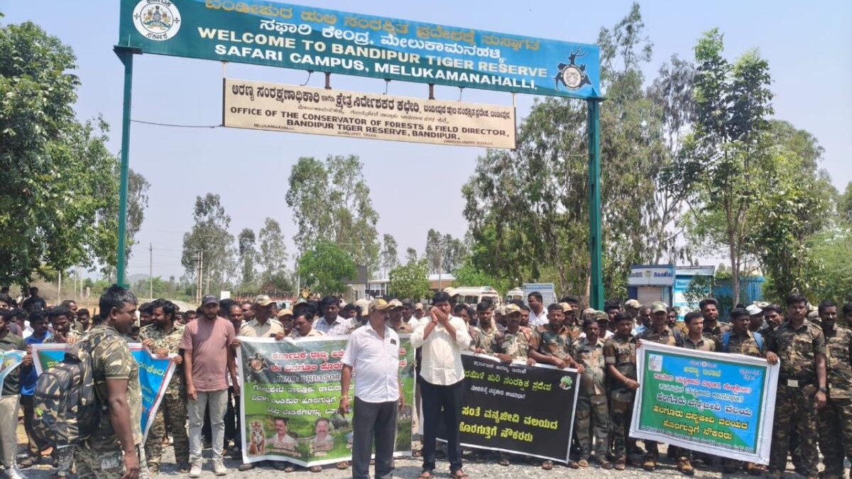 Outsourced forest employees launch indefinite strike at BTR, demand salary payment