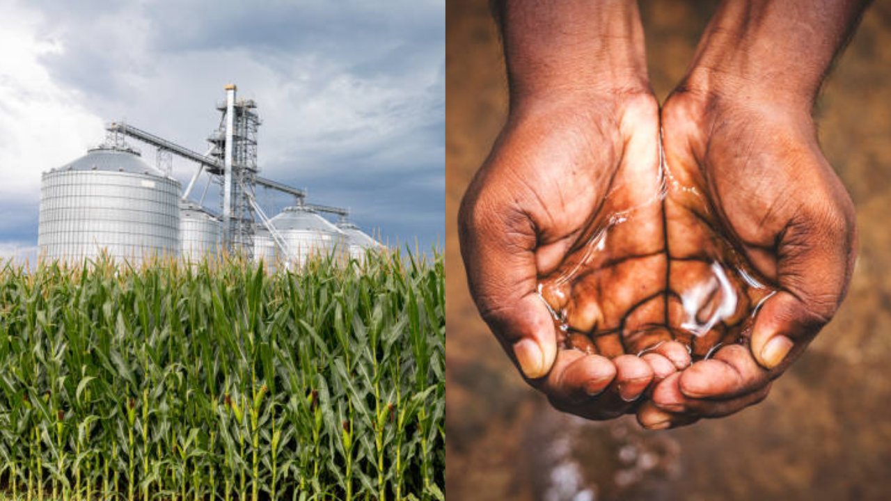 India's push for ethanol-blended fuel to worsen water crisis: Report