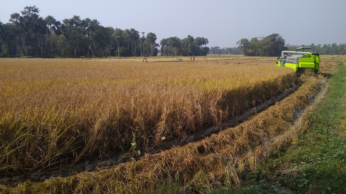 Kharif fertiliser supply remains strong amid ongoing West Asia crisis, stocks reach 193 lakh tonnes