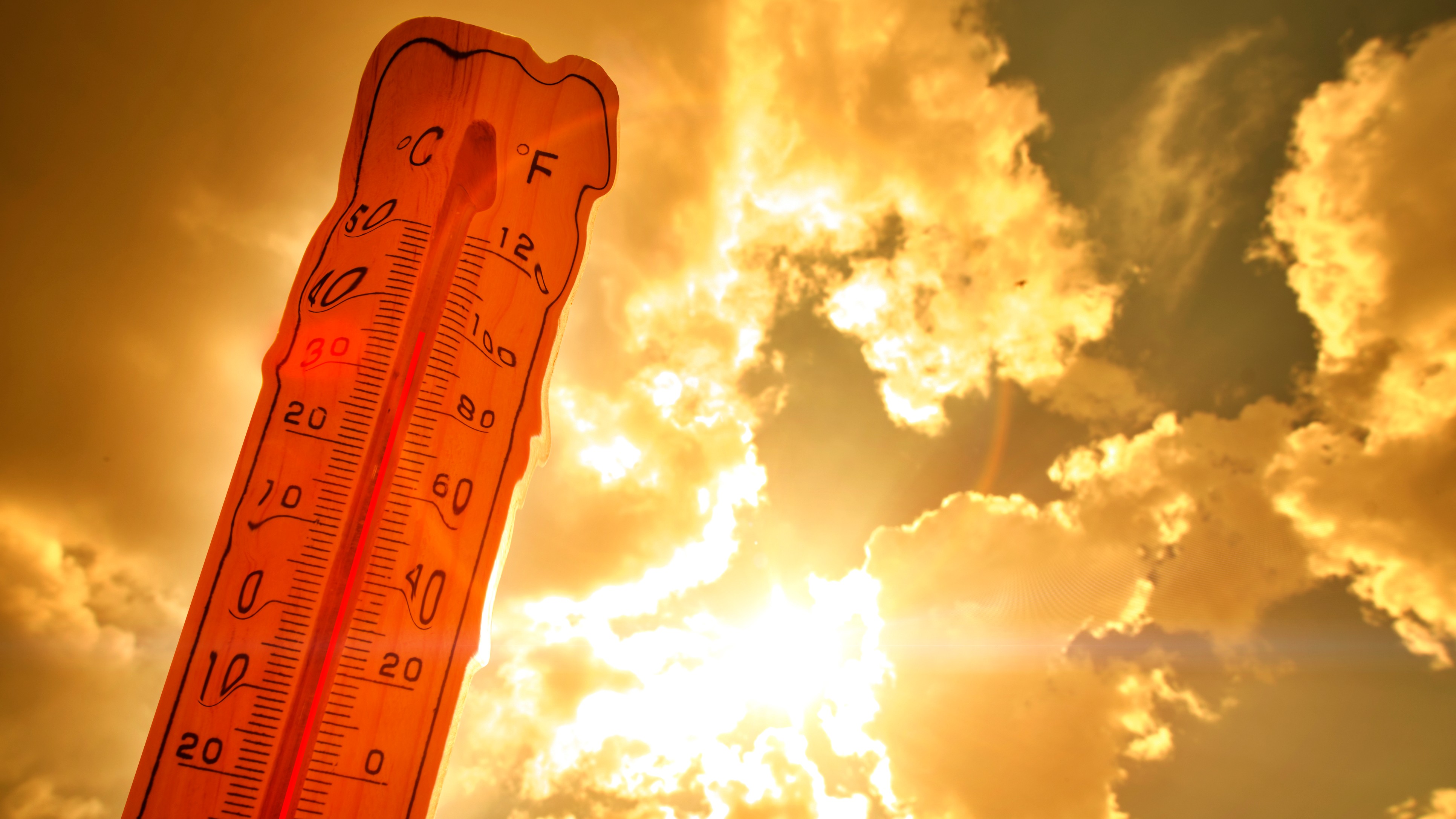 Night temperature to be above normal, IMD forecasts more heatwave days in May
