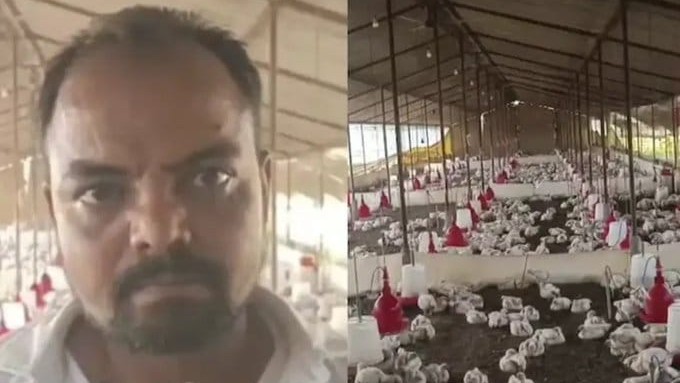 Over 100 chickens died due to loud wedding music, claims UP poultry farmer; complaint filed against DJ operator
