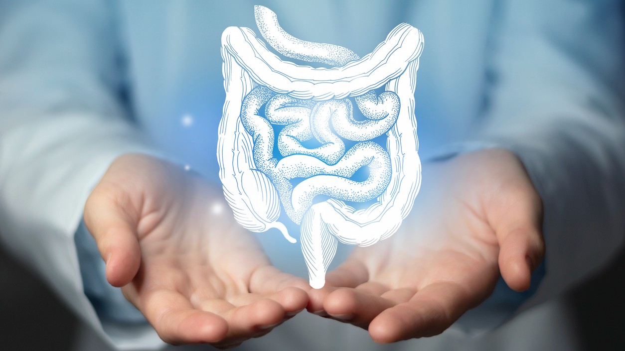 Gut feelings and the body’s truths