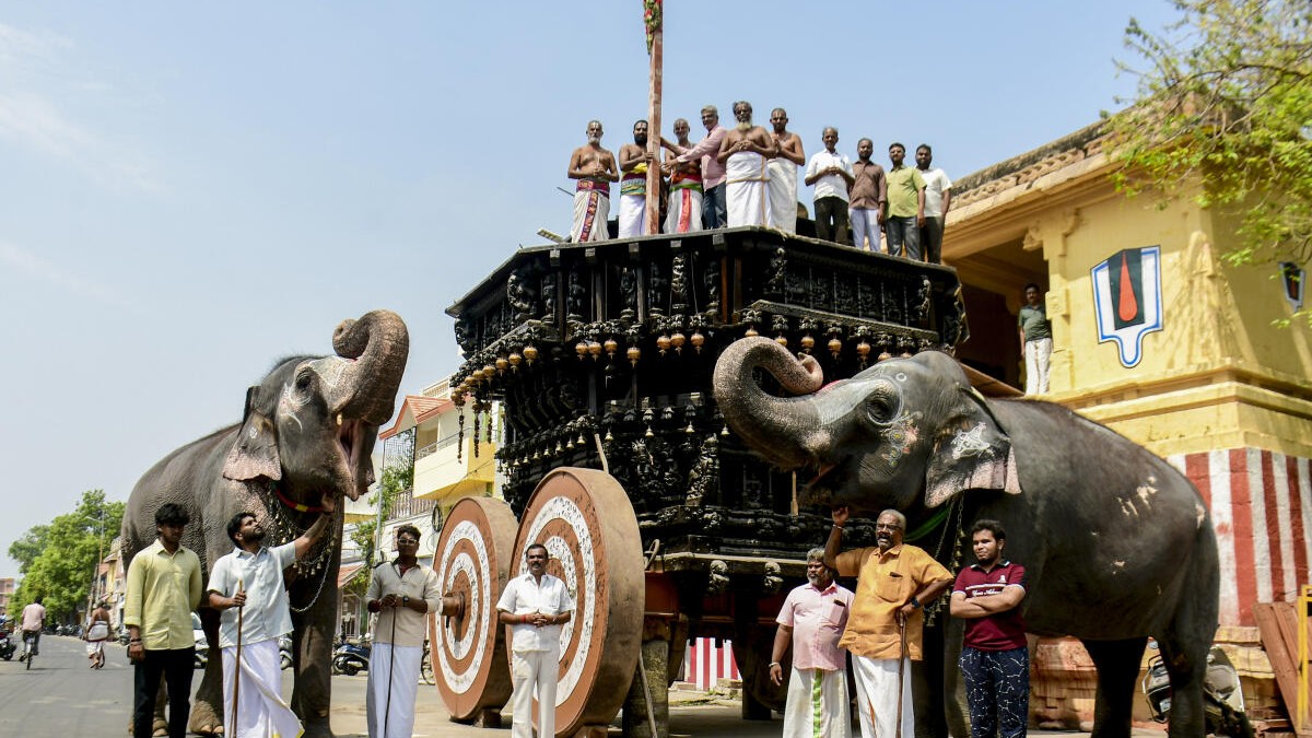 Temple elephants Andal and Lakshmi stand beside the Chithirai chariot during the Bandha Kal installation ceremony as part of the Chithirai festival at the Sri Ranganatha Swamy Temple, in Tiruchirappalli, Sunday, May 3, 2026.
