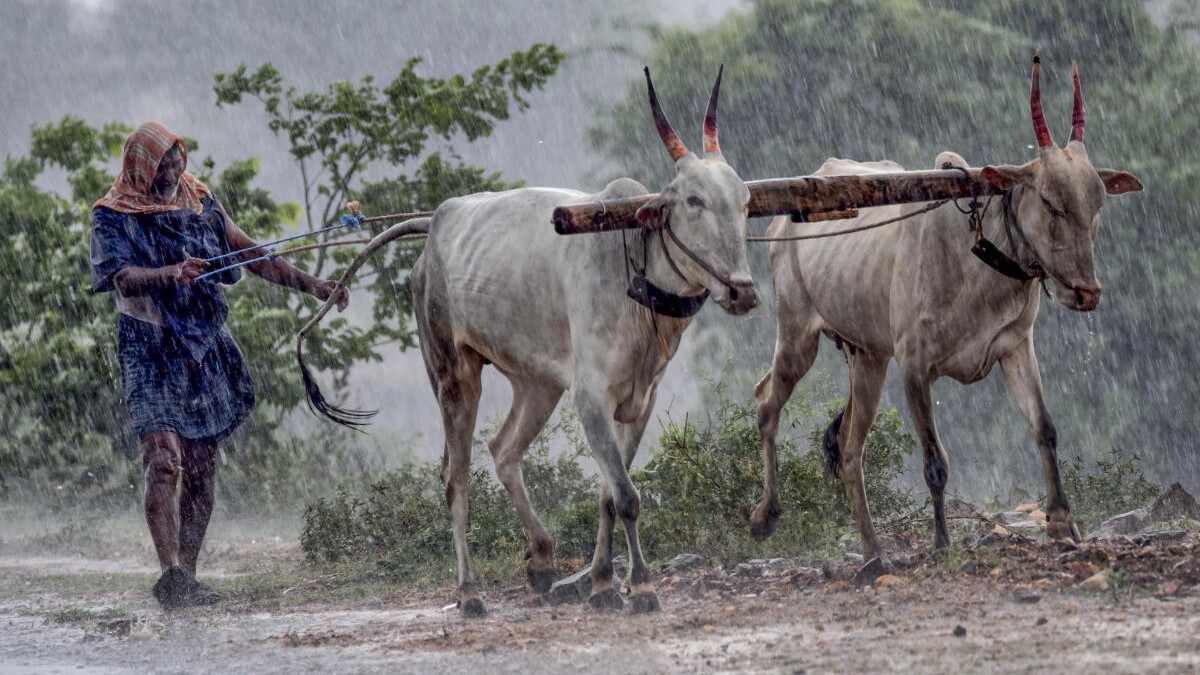 News in Pics | May 4, 2026: Best photos from around the world