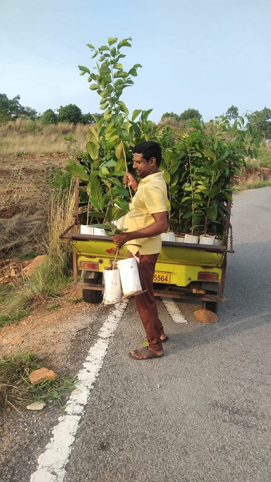 Y Ramesh carries saplings to be planted on Karighatta Hill in Srirangapatna taluk of Mandya district. Photo: Special arrangement