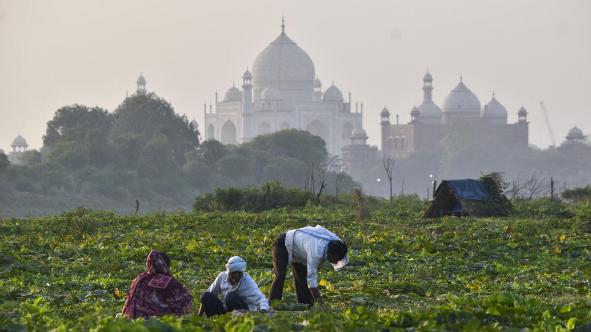 Farmers work in a field with the Taj Mahal in the background, in Agra, Wednesday, May 6, 2026.