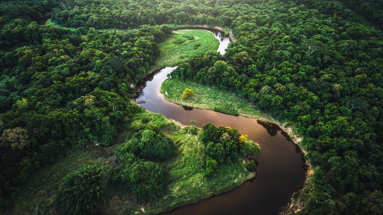 Deforestation lowers threshold for Amazon degradation to below 2°C warming: report 