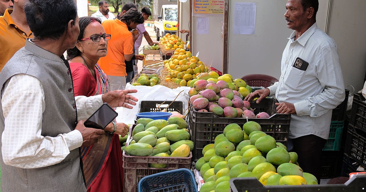 Cubbon Park Mango & Jackfruit Mela 2026: Varieties, Dates & Timing