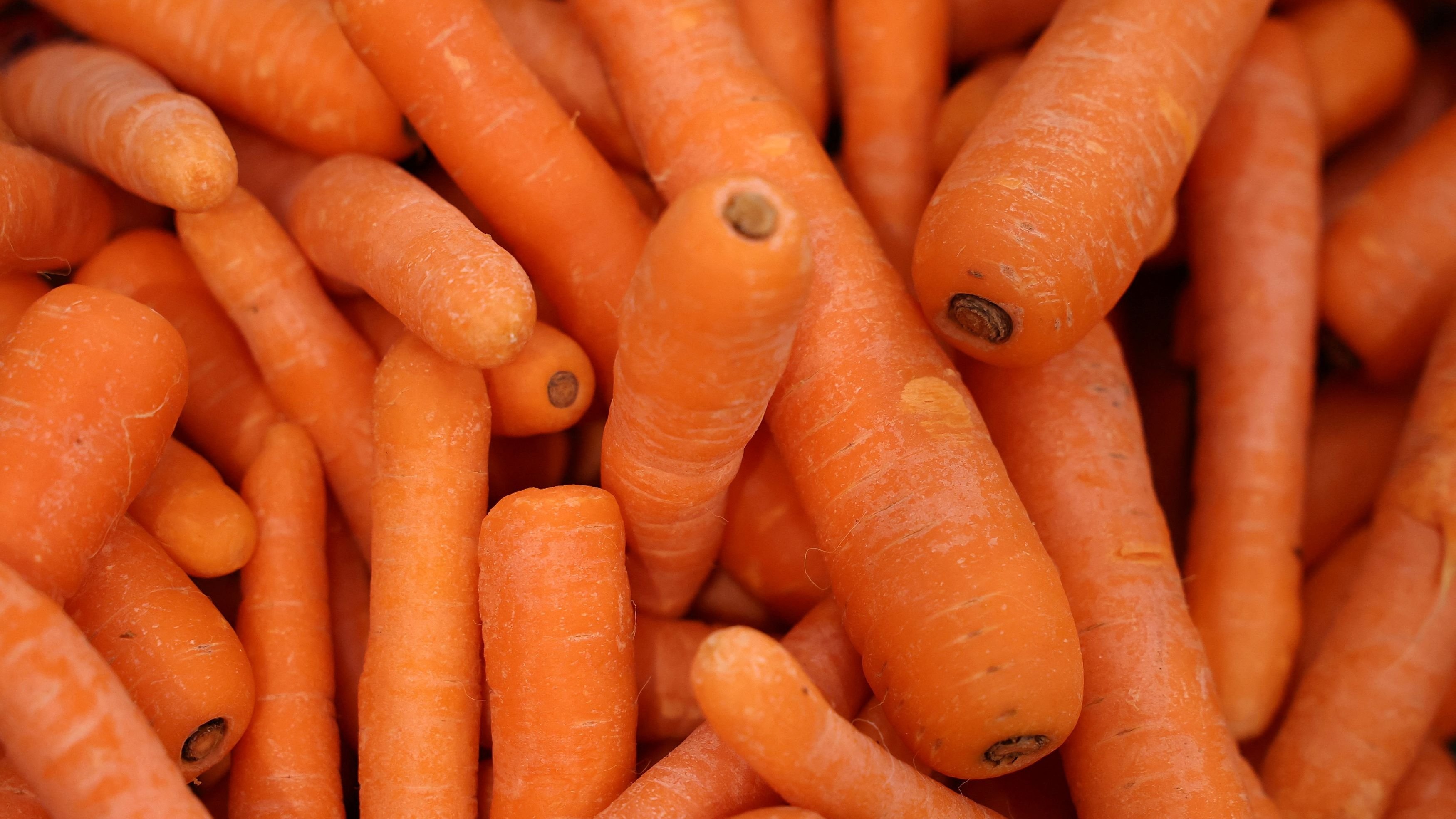 This carrot is a stick