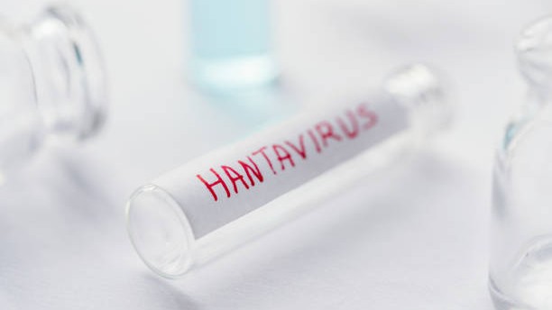 India faces no immediate public health threat from hantavirus: NIV chief