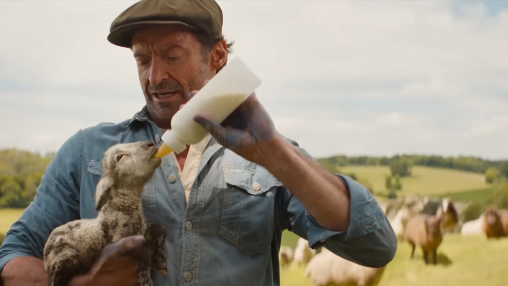 'The Sheep Detectives' movie review: Shear delight in the countryside