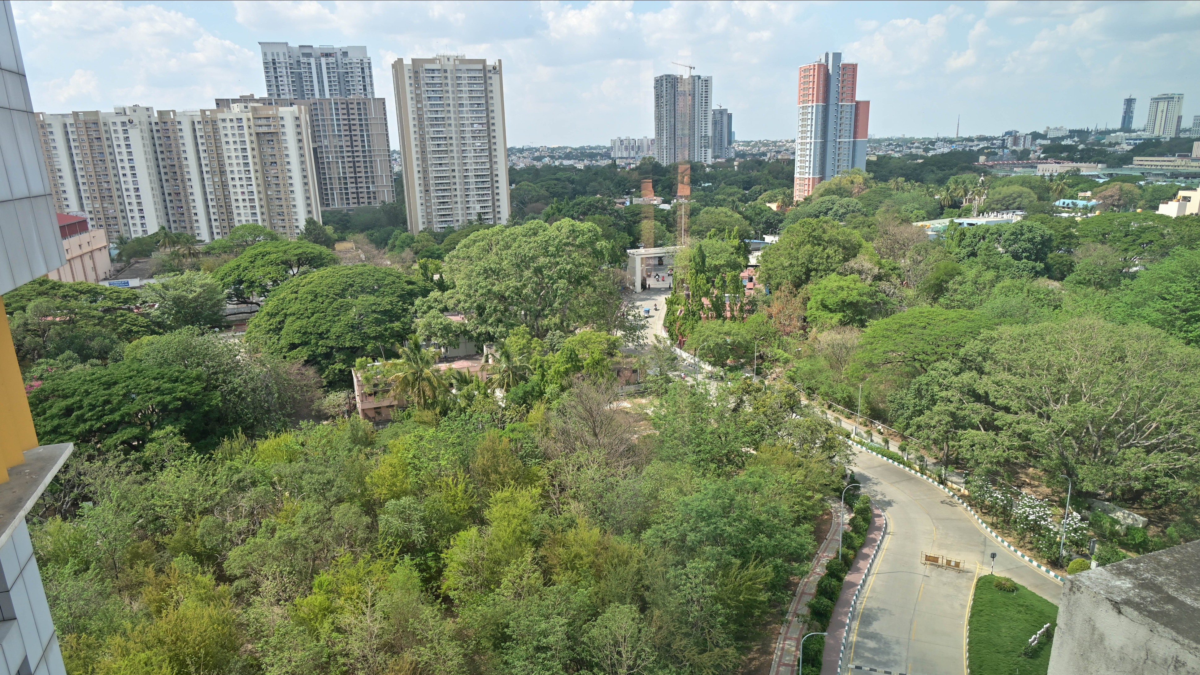 Miyawaki forests in Bengaluru need more than just trees