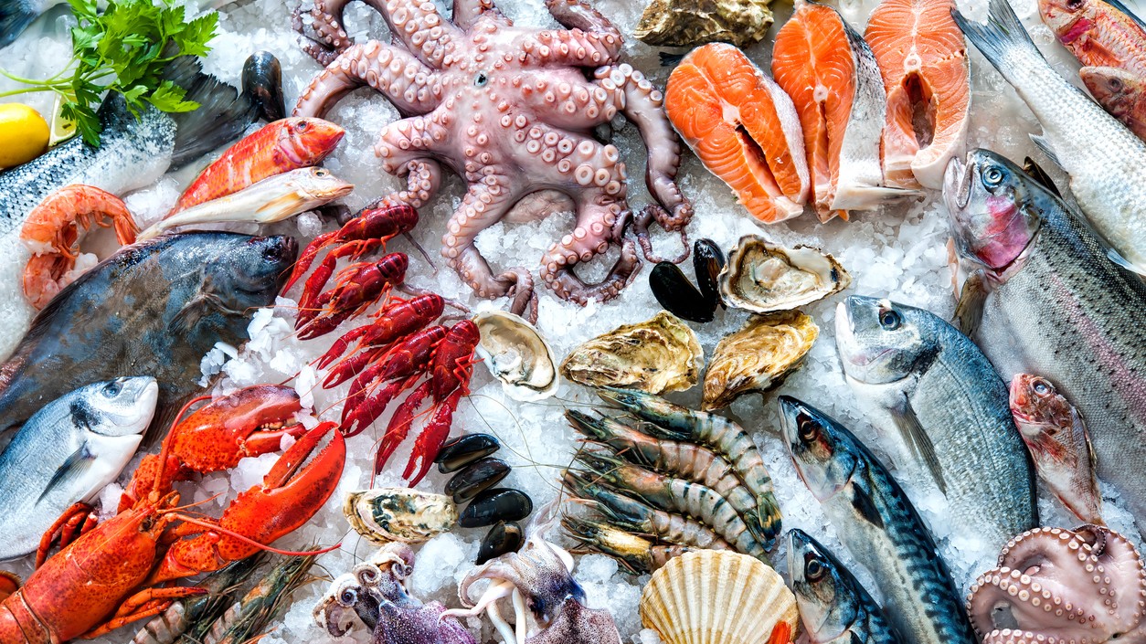 India got EU market opened for seafood through active talks amid US tariff challenge: Goyal