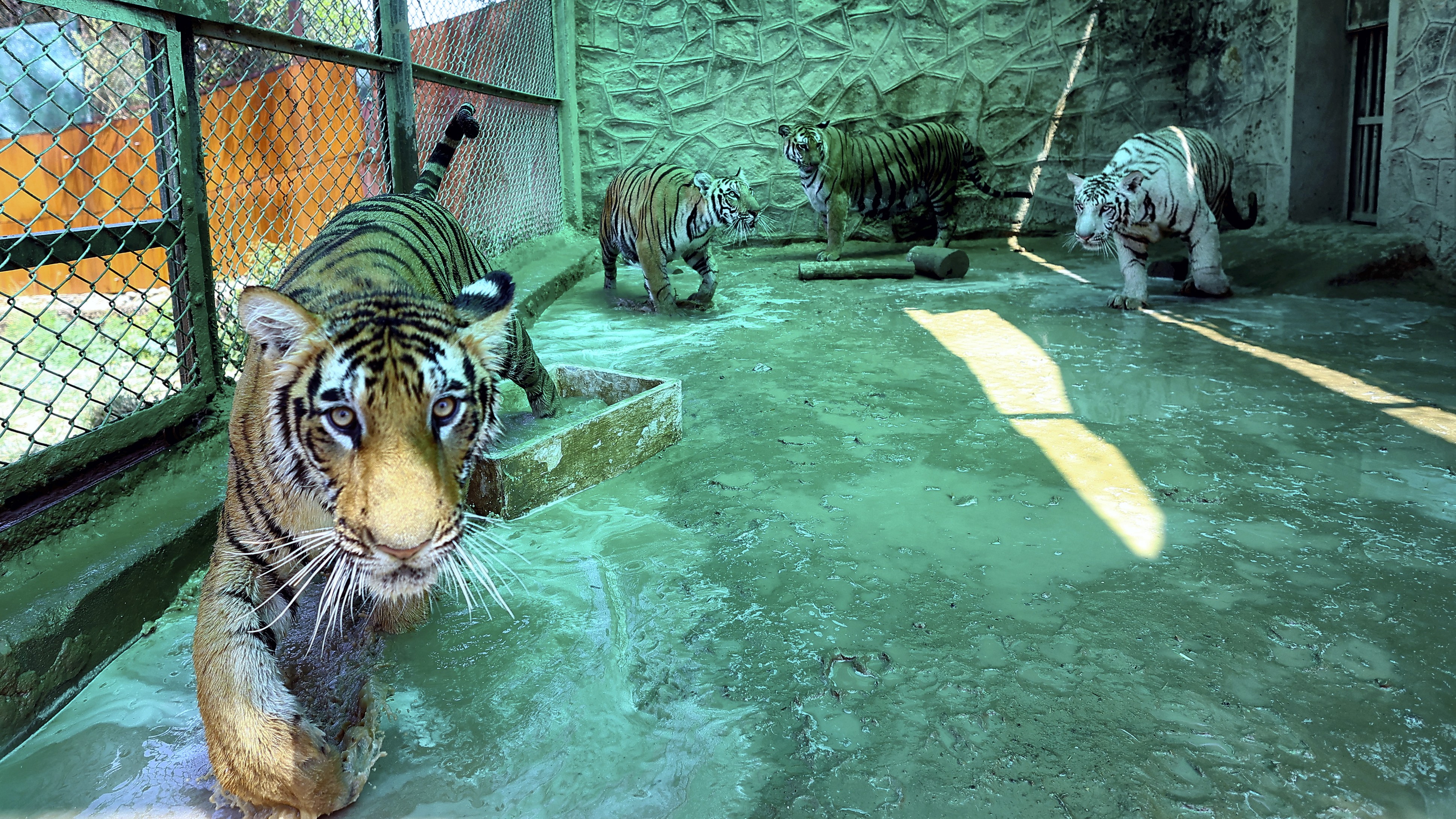 News in Pics | May 10, 2026: Best Photos from around the world