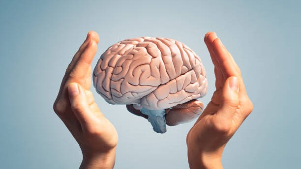 Caught in the Fibromyalgia trap: City life may be wiring the brain for chronic pain