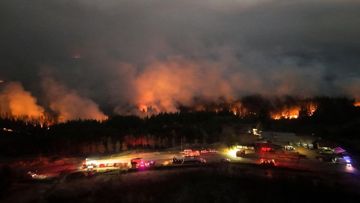 Global fire outbreaks hit record high as 'unprecedented' heat extremes loom, scientists say