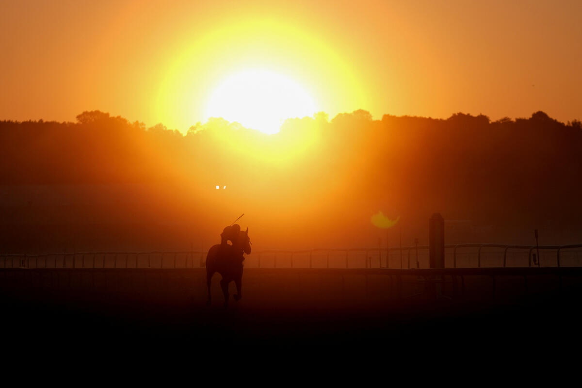 A horse trains during morning workouts at sunrise at Laurel Park, Maryland, USA.