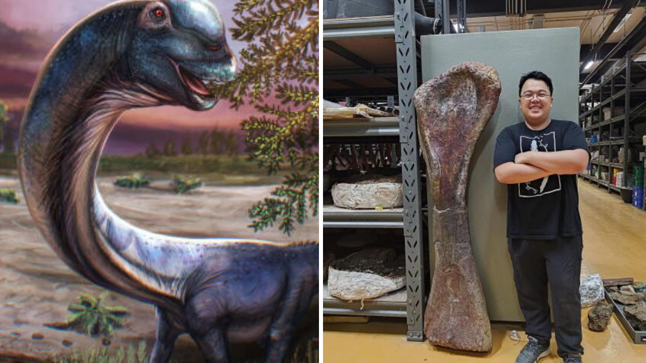 Scientists discover Southeast Asia’s largest-known dinosaur hidden beneath Thailand for 113 million years