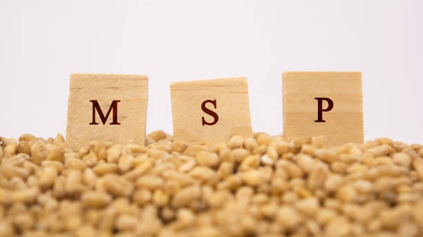 '12 years of betrayal': SKM slams Centre’s Kharif MSP, calls for nationwide protests