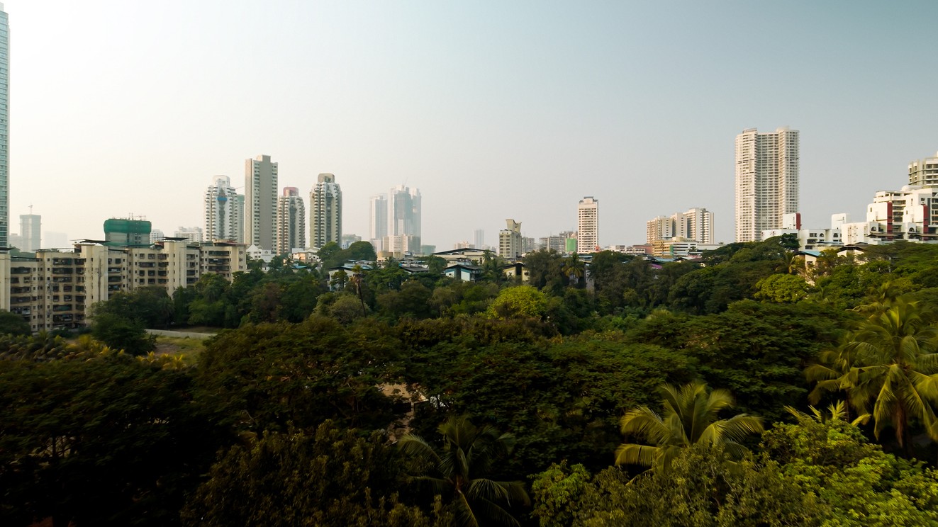 Roads vs Trees | How Mumbai’s planners are destroying the city