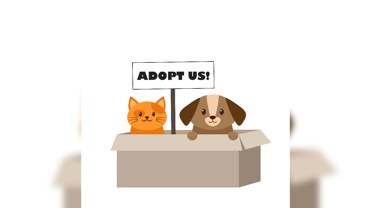 Is it better to adopt pets or buy them?