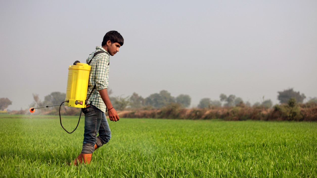 Fertiliser crisis | India must rethink its agrifood support policy