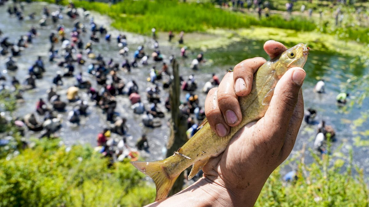 In Kashmir’s village of 500 springs, a centuries-old ritual keep water sources alive
