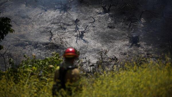 News in Pics | May 19, 2026: Best Photos from around the world