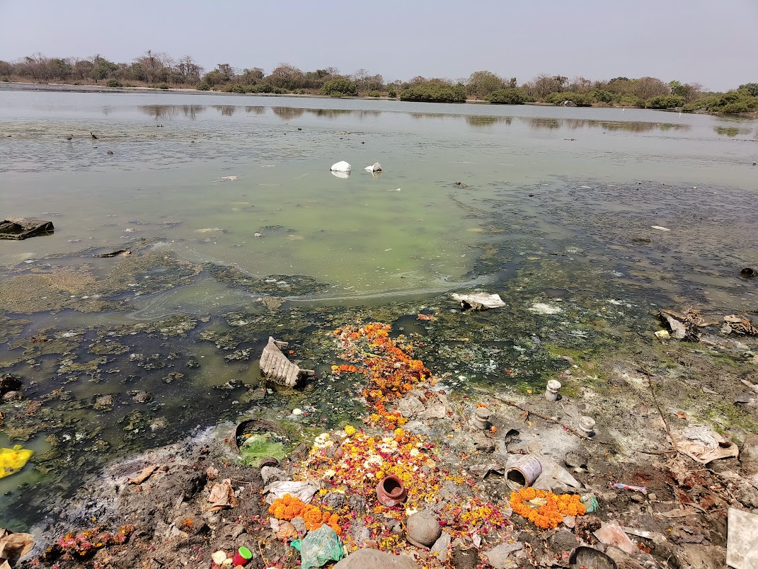 T S Chanakya wetland in a bad shape.