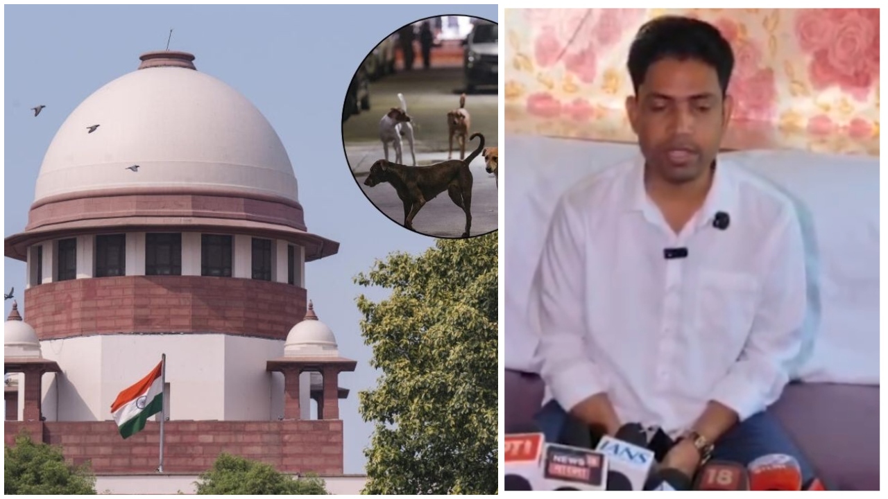 DH Evening Brief | SC allows euthanasia of rabid dogs to curb threat to human life; TMC's Jahangir Khan withdraws from Falta repoll