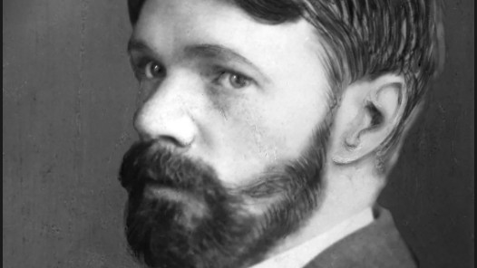 Quote of the day by DH Lawrence: “Instead of chopping yourself down to fit the world…”