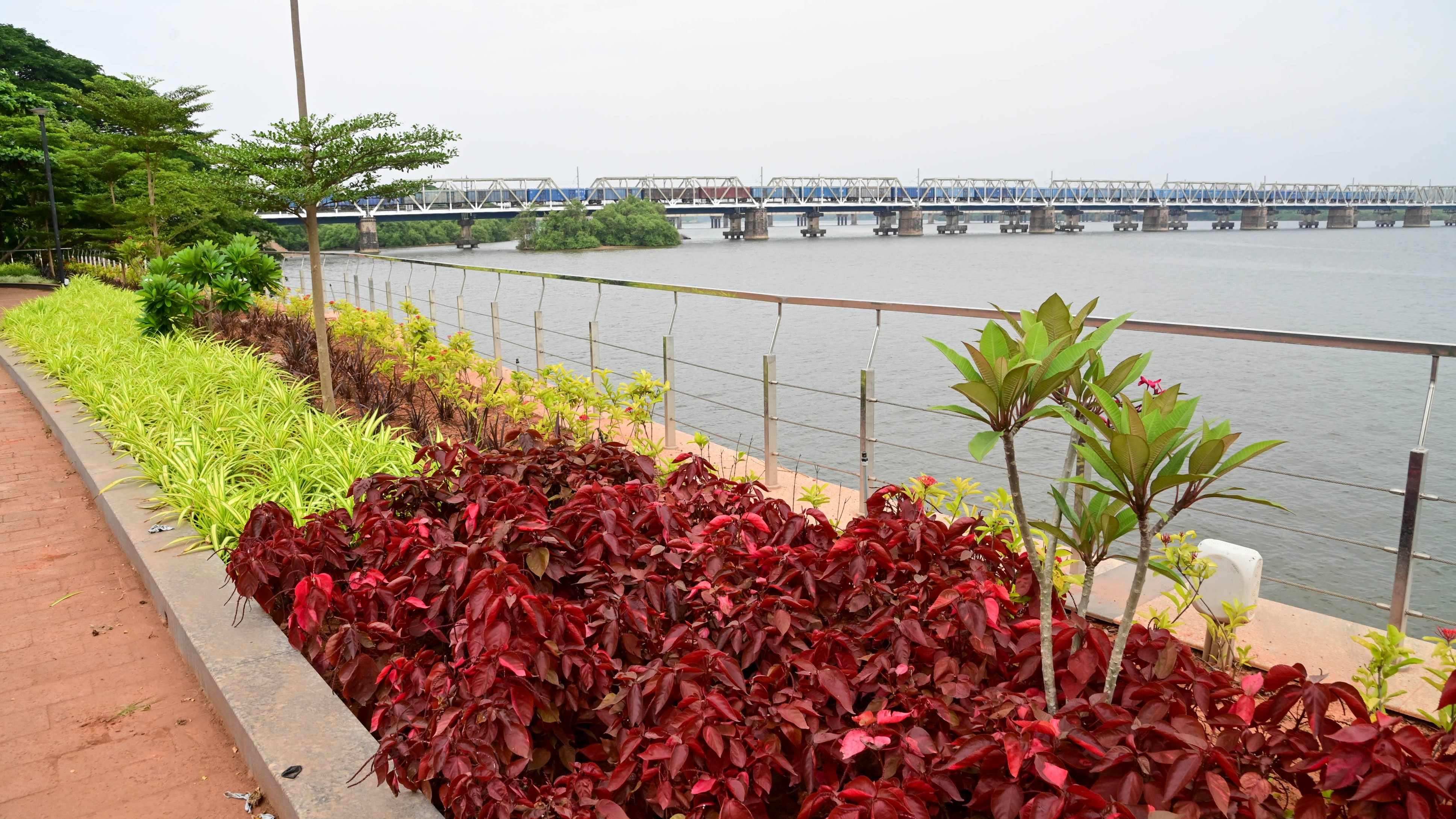 Nethravathi riverfront promenade will be opened in June second week: DC