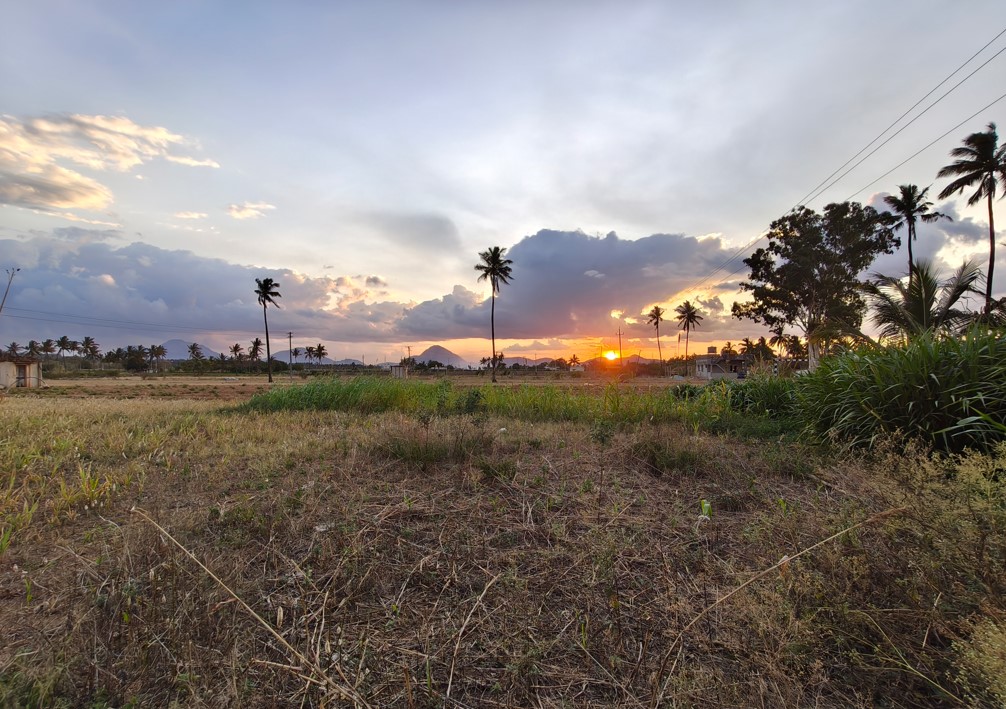 Poco X8 Pro's camera sample with ultra-wide angle mode.