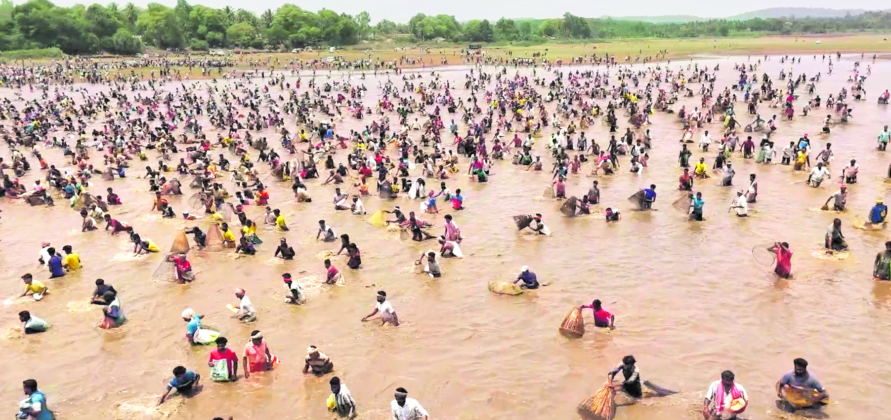 Participants catch fish during Kere Bete organised at Chittur Lake in Sorab taluk of Shivamogga district. DH Photos/Shivamogga Nagaraj