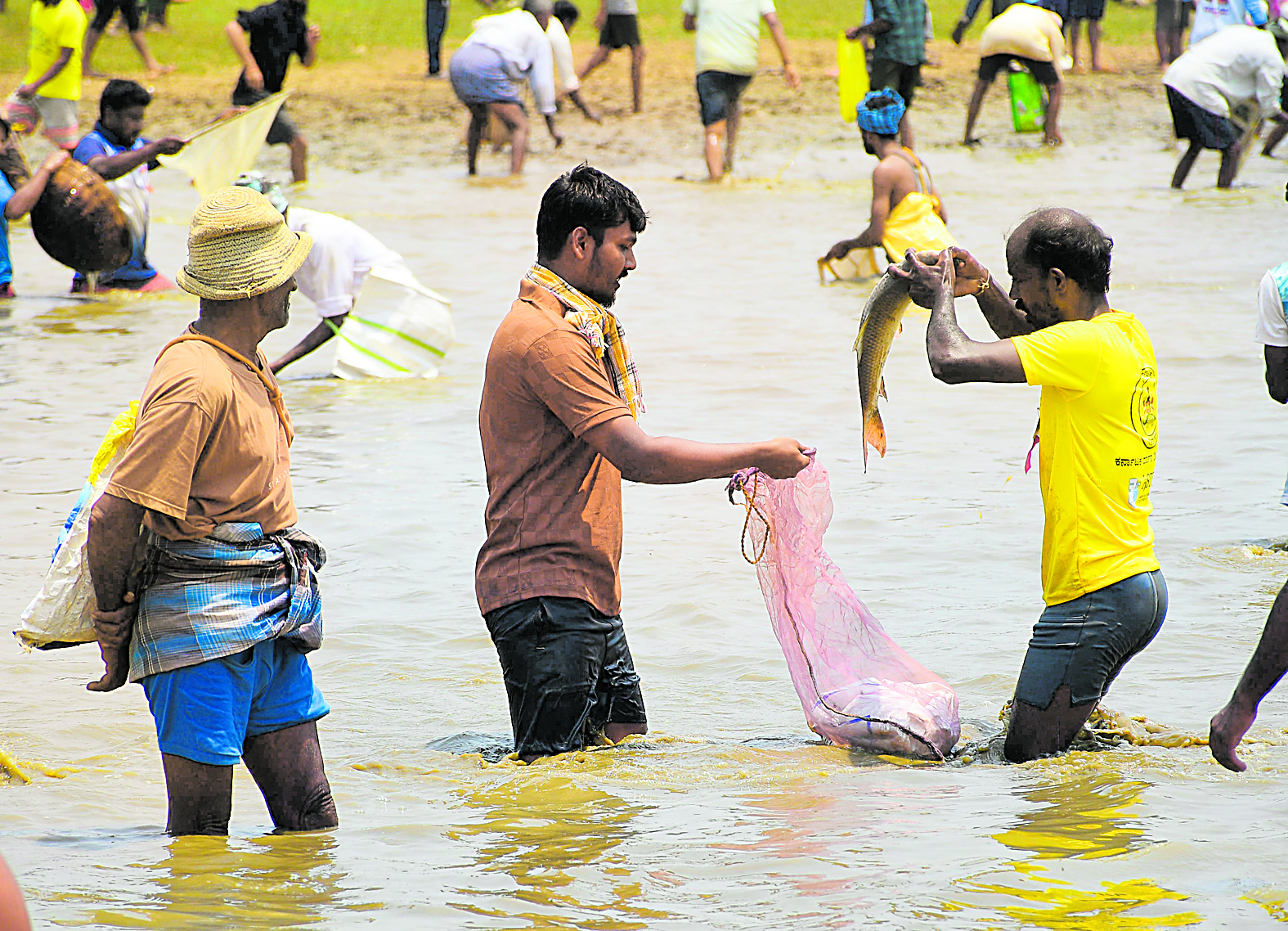 A man puts his catch in his sack during the Kere Bete. DH Photo/Shivamogga Nagaraj