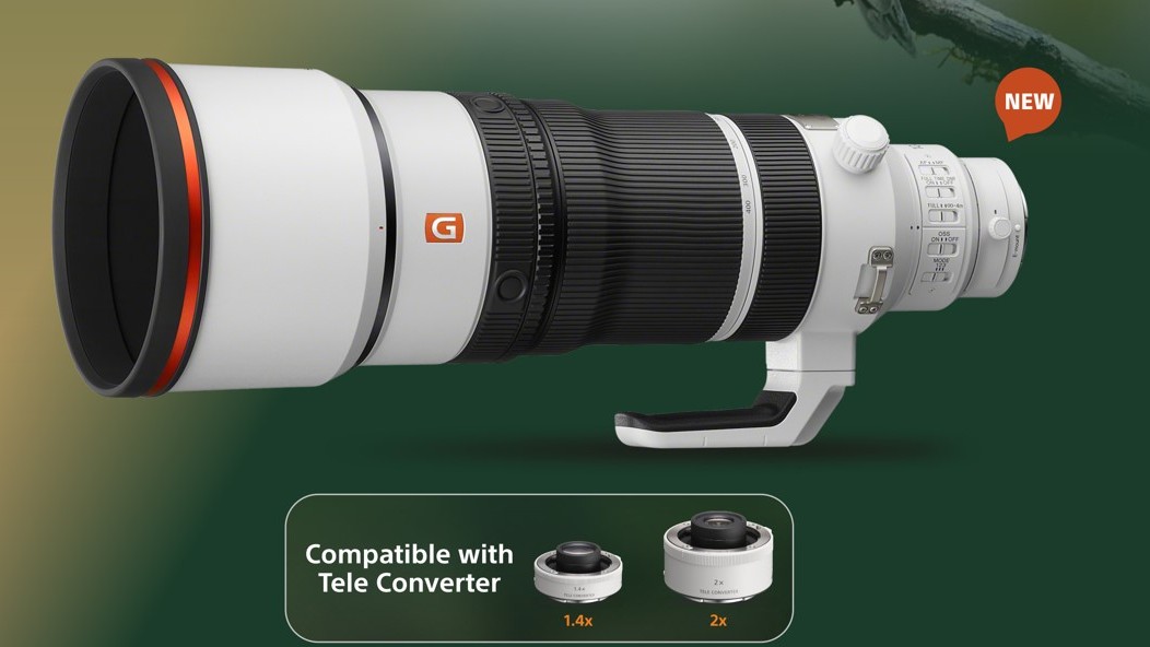 Sony FE 100-400mm F4.5 GM OSS lens.