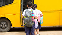 To my favourite school companion