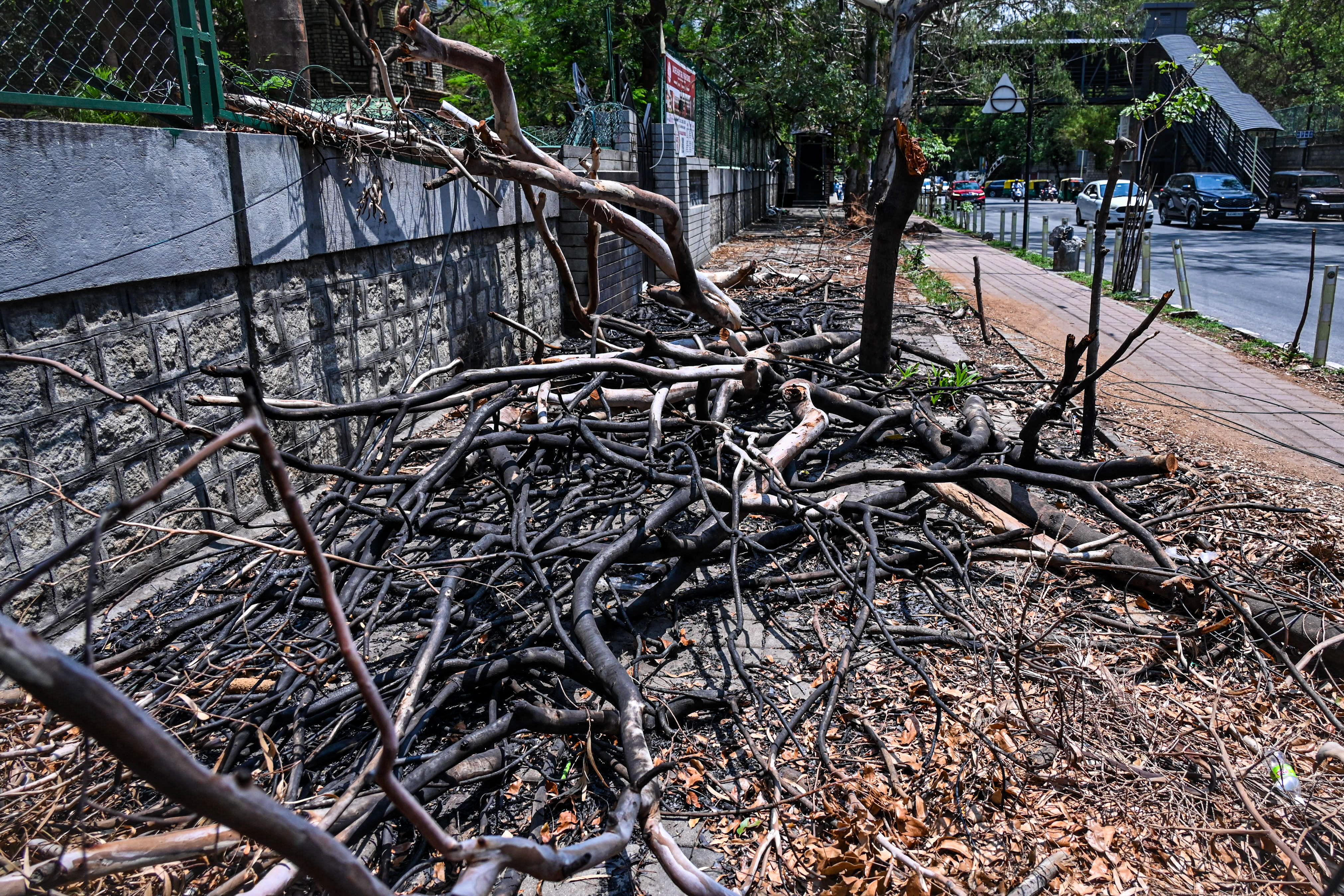 Uncleared branches obstruct a footpath outside Sacred Heart Girls’ High School on Residency Road. 